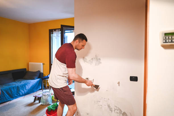 Best Local Mold Removal Service  in Kouts, IN